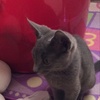 Profile Picture of Michael Shook (@@michaelshook1) on Tiktok