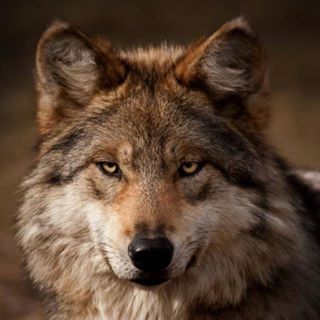 Profile Picture of David Roark (David) (@DRoark56) on Facebook