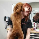 Profile Picture of Sarah Breeden | Dog Groomer (@breedenstyle_doggrooms) on Instagram