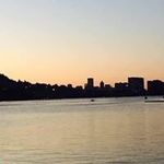 Profile Picture of Jonathan Purcell (@djpheind) on Instagram