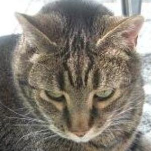 Profile Picture of Olga Crabtree (@CrabtreeOlga) on Twitter