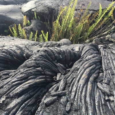 Profile Picture of Scott Matthew Haines (@scottmhaines) on Twitter