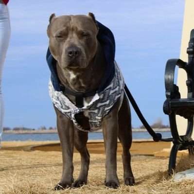 Profile Picture of Adam Tamayo (@AdamTamayo6) on Twitter