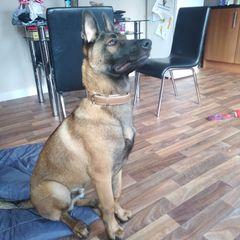 Profile Picture of alanlatcham0 (@alanlatcham0) on Tiktok