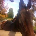 Profile Picture of Jacqueline Schmidt (@schmidt1227) on Instagram