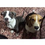 Profile Picture of Thor y Masha (@thorymasha) on Instagram