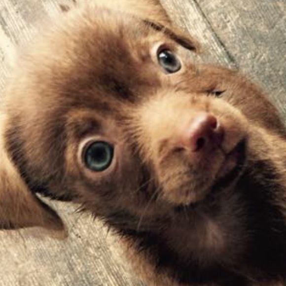 Profile Picture of Geraldine Serrano (@gerriee_0906) on Poshmark