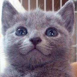 Profile Picture of Fabian Lechuga (@fablechdez) on Twitter