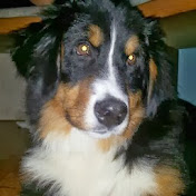 Profile Picture of Birgit “der Stiglitz” Stiegler (@birgitstiegler9129) on Youtube