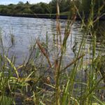 Daniel Yerxa - Instagram Profile Picture of Daniel Yerxa (@danielyerxa79) on Instagram