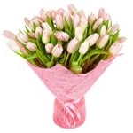 James Jones - Instagram Profile Picture of James Jones (@bukovskyjtjustin) on Instagram