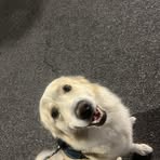 Profile Picture of Jimmy Dorman (@JimmyD0905) on Facebook