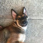 Profile Picture of Robert Tabor (@robert_tabor) on Instagram