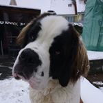 Profile Picture of Daniel Stauber (@daniel.stauber.98) on Instagram