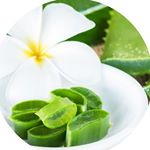 Profile Picture of Sonja Toth-Nagy (@sonja_toth) on Instagram