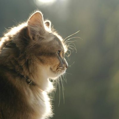 Profile Picture of Yelitza González (@YelitzaGeDe) on Twitter