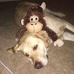 Profile Picture of Basil Abbott (@baby_basil_44) on Instagram