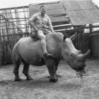 Profile Picture of Cory Levy (@cory-levy-12) on Quora