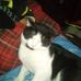 Profile Picture of Ian Barringer (@ian.barringer.54) on Facebook