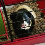 Profile Picture of Larry Romero (@larry.romero14) on Instagram