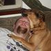Profile Picture of Michael Fjeldal (@michael.fjeldal.3) on Facebook