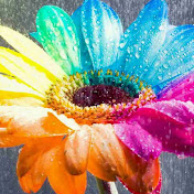 Profile Picture of Lily Ryan (@lilyryan7680) on Youtube