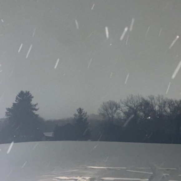 Liam Hepker - Poshmark Profile Picture of Liam Hepker (@liamhepker1) on Poshmark