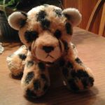 Profile Picture of Jean Schmidt (@tjsch01.jean) on Instagram