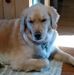 Profile Picture of Mark Glazewski (@mark.glazewski.31) on Facebook