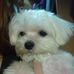Profile Picture of Nina Chao (@nina.chao.3) on Facebook