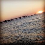 Daniela Seifert - Instagram Profile Picture of Daniela Seifert (@daniela.seifert.1428) on Instagram