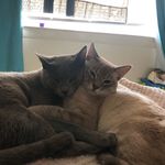 Profile Picture of Hector Zamarron (@felix.zamarron) on Instagram