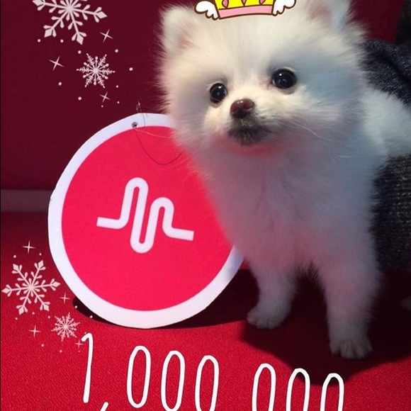 Profile Picture of Kira Mclaurin (@kiralove5) on Poshmark