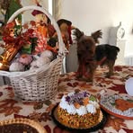 Profile Picture of Rose Grimaldi (@rose.grimaldi.71) on Facebook