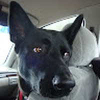 Profile Picture of Fred Oswald (@fred-oswald-7) on Quora