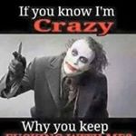 Profile Picture of Joe Polizzi (@polizzi.joe) on Instagram