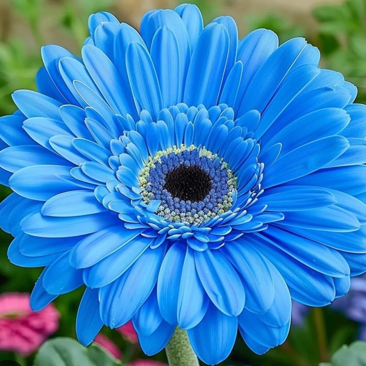 Profile Picture of Lori Wester Robbins (@love2teach31) on Tiktok
