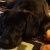Profile Picture of Terry Gaudet (@terrygaudet) on Pinterest