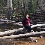 Profile Picture of Michele Sharkey (@dr.sharkey.m08) on Instagram