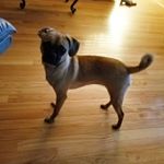 Profile Picture of Shawn Blais (@shawneem1969) on Instagram