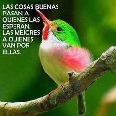 Profile Picture of Aida Jimenez (@aidajimenez434) on Twitter