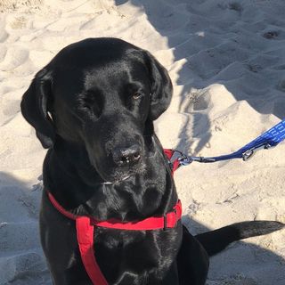 Profile Picture of Peter Surges (@peter.surges.3) on Facebook