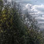 Profile Picture of Wanda Smith (@wanda_smith) on Instagram