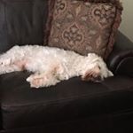 Profile Picture of Erick Posadas (@pose7415) on Instagram