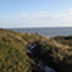 Profile Picture of Patricia Jimenez (@patricia281) on Flickr