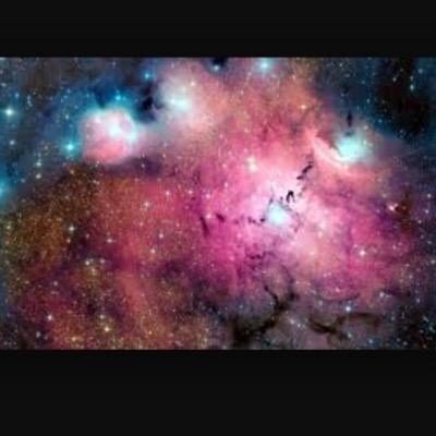 Profile Picture of Joe Riccardi (@Joe_Riccardi2) on Twitter