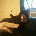 Profile Picture of billy gwin (@billygwin) on Instagram