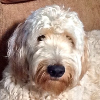 Profile Picture of Chris (@chrislugg64) on Twitter