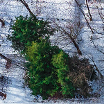 Profile Picture of Kevin Paul (@kevin3462) on Flickr