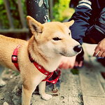 Profile Picture of 柏元 王 (@james wang 王柏元) on Flickr